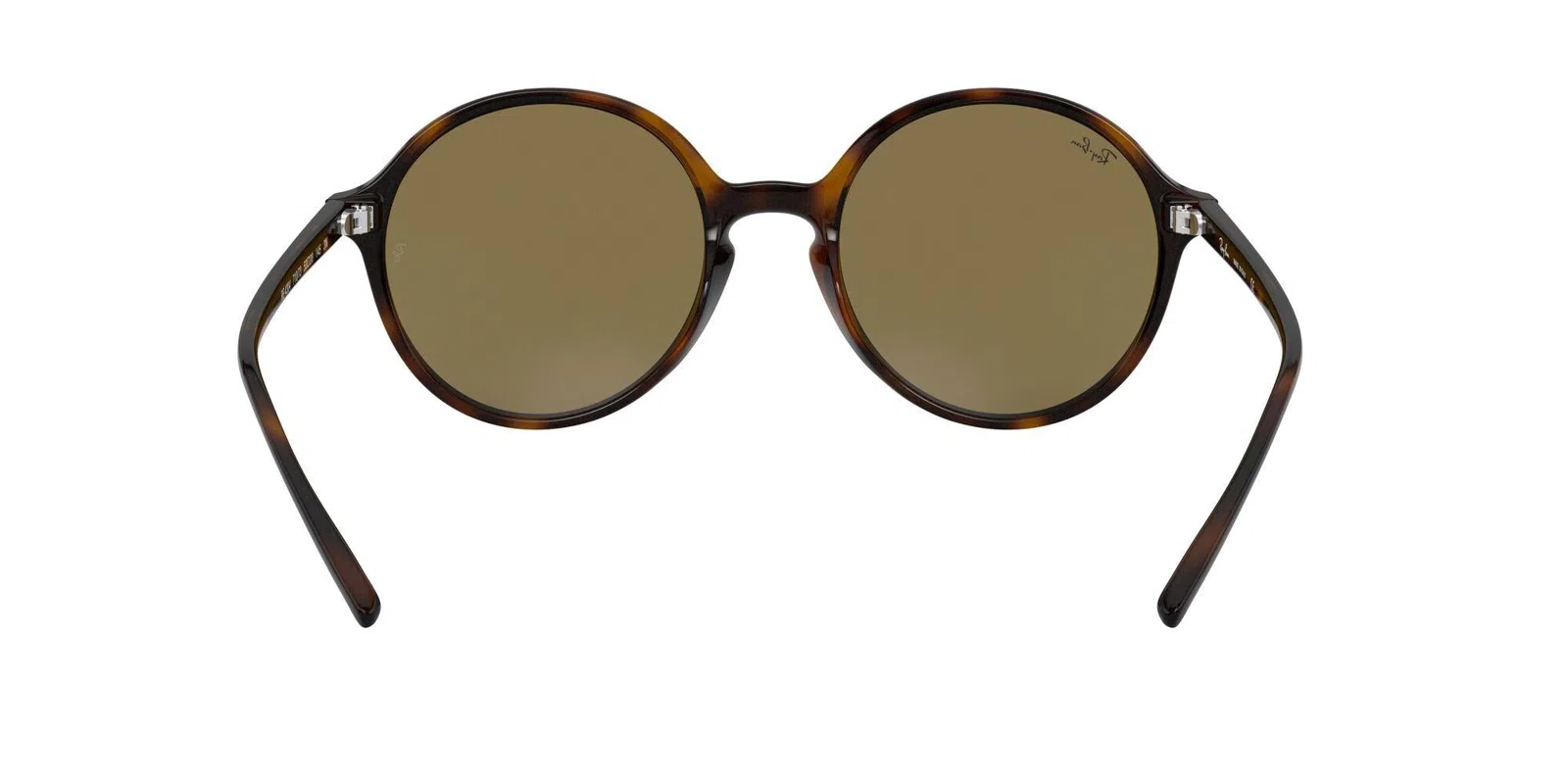 Ray-Ban 4304 Sunglasses - view 38
